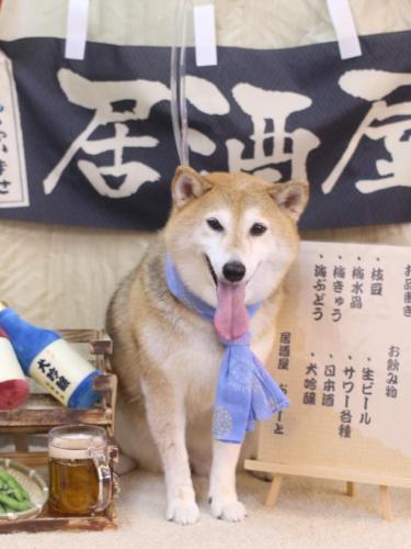 20240630こはるちゃん